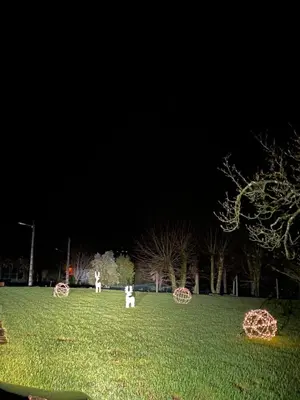 a group of people in a field at night at Casa Fontes Rosas in Touro