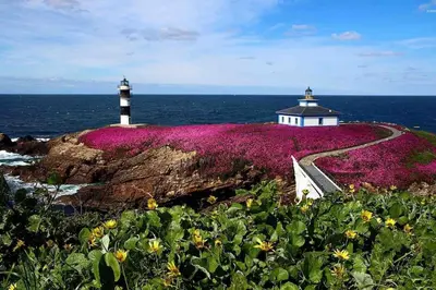 two lighthouses on a rock with purple flowers at Apartamento Cantabrico vistas a la Ría deRibadeo in Ribadeo