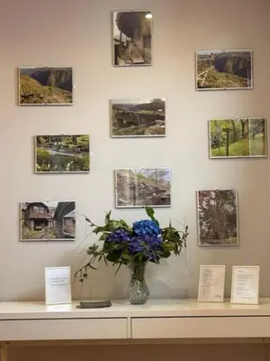 a vase with blue flowers on a table with pictures on the wall at ALBERGUE A POBRA DO BROLLON in Puebla del Brollón