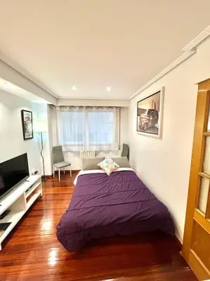 a bedroom with a purple bed and a television at Curros Enríquez MR in Ourense