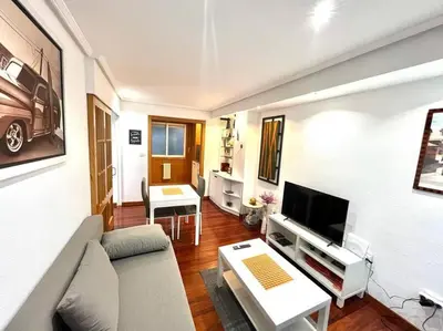 a living room with a couch and a tv at Curros Enríquez MR in Ourense
