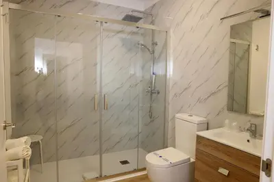 a bathroom with a shower and a toilet and a sink at Pedro Luxury in Padrón