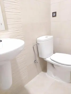 a white bathroom with a toilet and a sink at Pension-Albergue Don Alvaro in Sarria