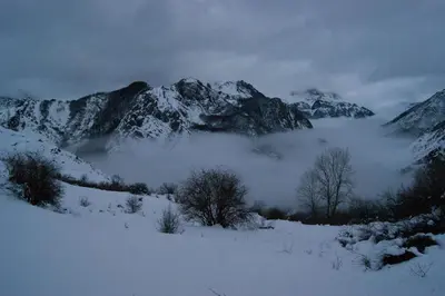 a snow covered mountain range with trees in the foreground at Apartamentos Rurales Casa Marcelo in Veigas