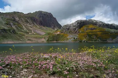 a lake with pink flowers in front of a mountain at Apartamentos Rurales Casa Marcelo in Veigas