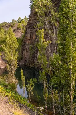 a hillside with trees and a body of water at Casa de turismo rural Sardom2 in Bembibre