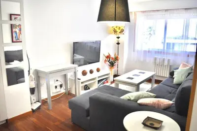 a living room with a couch and a tv at Curros Enríquez RD, Céntrico, PLAZA GARAGE in Ourense
