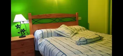 a green bedroom with a bed with a green wall at Buhardilla Cesar in Lubián