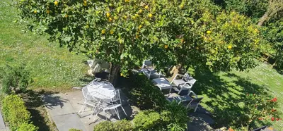 an overhead view of a table and chairs under an orange tree at Pensión Casa Elena in Reinante