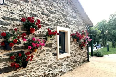 a stone building with potted flowers and a window at A chousa da folgueira in Ordes