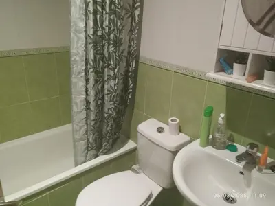 a bathroom with a toilet and a sink and a shower curtain at Ceraca in Pola de Somiedo
