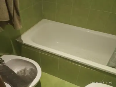 a bathroom with a toilet and a bath tub at Ceraca in Pola de Somiedo