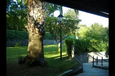 a tree in a yard with a street light at Chalet en Miño con vistas al mar in Miño