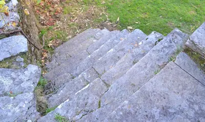 a set of stone steps with grass on them at A Pena de Augasantas in Oca de Abaixo