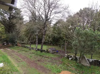a field with a fence and trees and a dirt road at Casa Moucheiro in Lugo