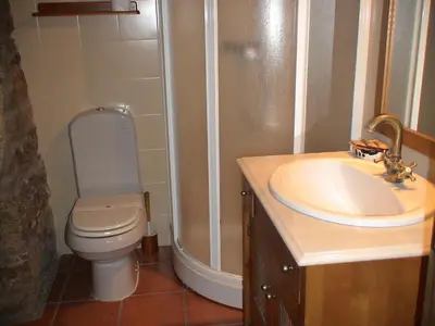 a bathroom with a toilet and a sink and a shower at Casa del Cura in Rozas