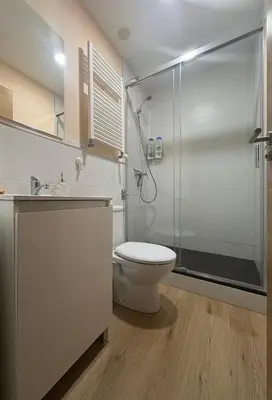 a bathroom with a toilet and a shower at Casa-Museo Genia Trigo in Sober