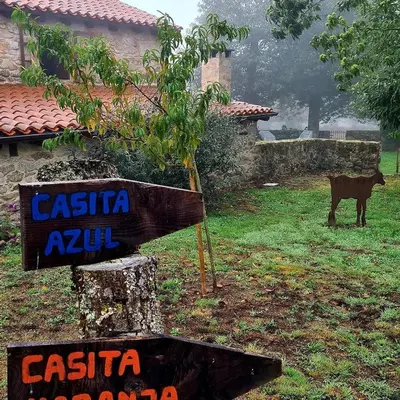 a house in the fog with a yard and trees at Casas Quo Vadis -Azul in Lugo