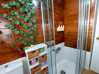 a bathroom with a shower and a toilet at Casa Mencía in Camponaraya