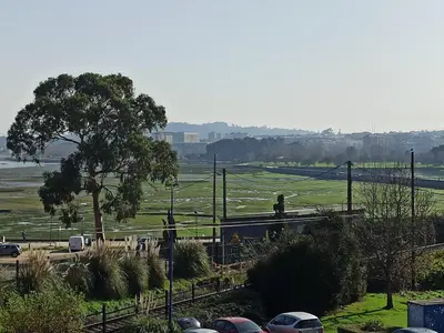 a train on a track with a tree and cars at Oktheway Fonteculler in Culleredo