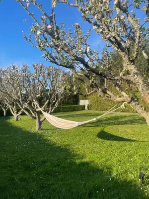 a hammock hanging from a tree in a yard at La Casa da Pipa in Cesuras