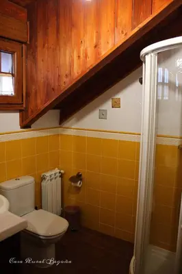 a bathroom with a toilet and a sink and a shower at Casa Begoña in Igüeña