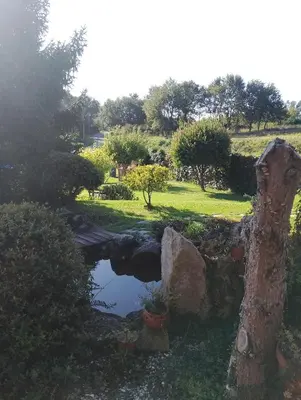 a pond in the middle of a garden at Casa rústica O NOSO VAL in Mondariz