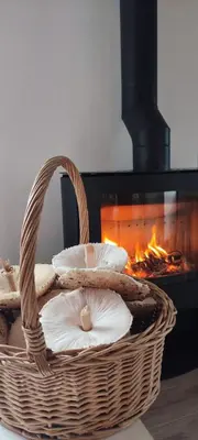 a basket with pillows in front of a fireplace at Casa rústica O NOSO VAL in Mondariz