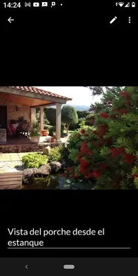 a website with a picture of a garden with a pond at Casa rústica O NOSO VAL in Mondariz