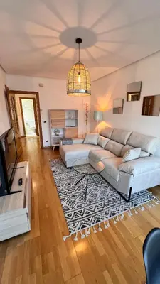 a living room with a couch and a television at Apartamentos San Martin Ourense Centro 2 in Ourense