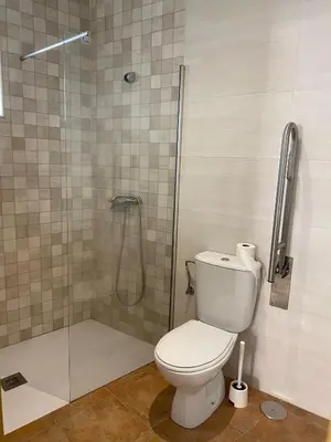 a bathroom with a toilet and a shower at Apartamento Sant-Yago in Santiago de Compostela