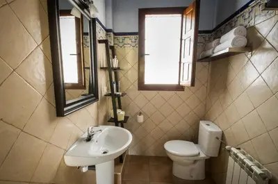 a bathroom with a sink and a toilet and a mirror at Apartamentos El Sualleiro in Santa Eulalia de Oscos