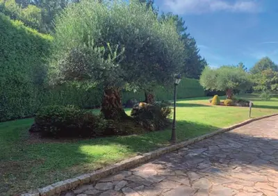 a tree in a park with a street light at Casa Do Rivera in Cospeito