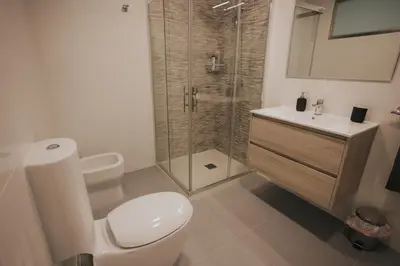a bathroom with a shower and a toilet and a sink at Casas del Pedregal apartamento 3 in A Estrada
