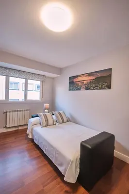 a bedroom with a large bed in a room at Apartamento de Julia in Santiago de Compostela