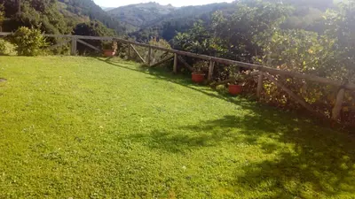 a green field with a fence and some plants at Apartamentos Rurales Veredas in Santa Eulalia de Oscos