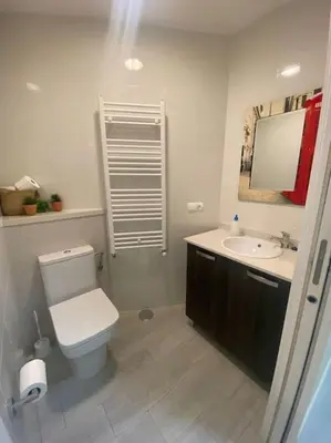 a bathroom with a white toilet and a sink at La casa de las Flores in Ponferrada