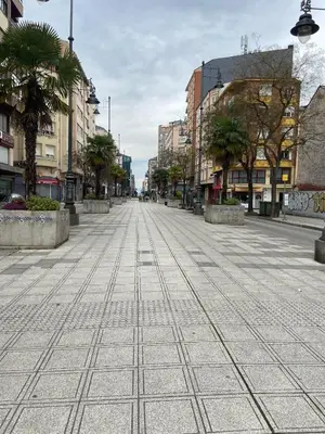 an empty city street with palm trees and buildings at La casa de las Flores in Ponferrada