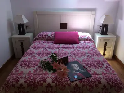 a bedroom with a bed with a pink blanket and a book at Tía María in Cerredo