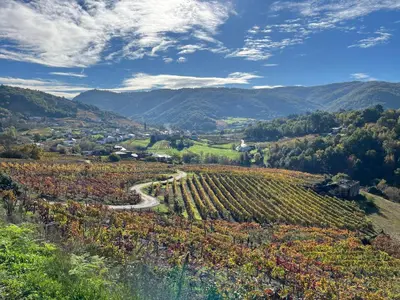 a vineyard in a valley with mountains in the background at Casa Catalina - Ribeira Sacra in Abeleda