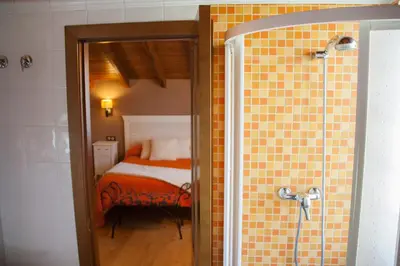 a bedroom with a bed and a shower in a room at Hostal El Recanto in Vega de Valcarce