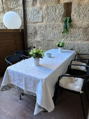 a table with two potted plants on top of it at Aturuxo, Casa dos Mestres in Trasmiras