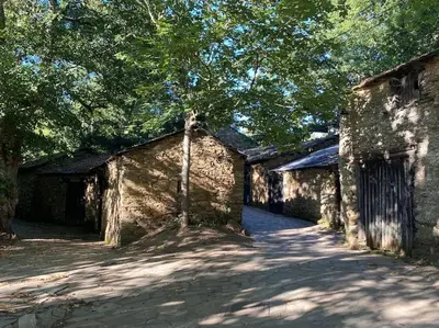an old stone building with a tree above a road at Casa Vilachá - Ribeira Sacra in Puebla del Brollón