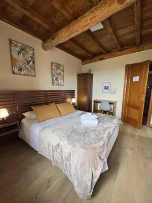 a bathroom with a shower and a toilet and a sink at Venta Celta in O Cebreiro