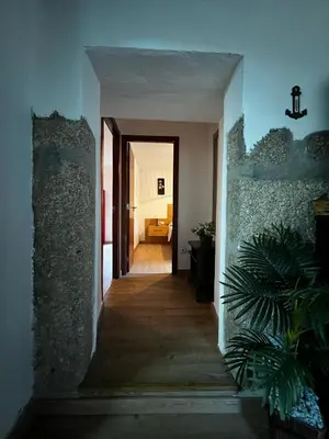 a hallway leading to a living room with a plant at Sola Costeiro in Padrenda