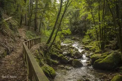 a stream in a forest with a bridge and rocks at Sola Costeiro in Padrenda