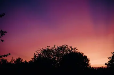 a colorful sky with a tree in the foreground at Pazo de Andeade in Andeade