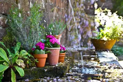 a group of potted plants sitting next to a fountain at Pazo de Andeade in Andeade