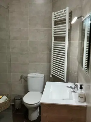 a bathroom with a toilet and a sink at Vivienda estación in Ourense