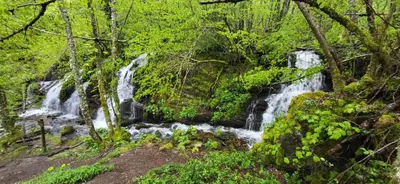 a waterfall in the middle of a forest at Casa Sapita in Villafranca del Bierzo
